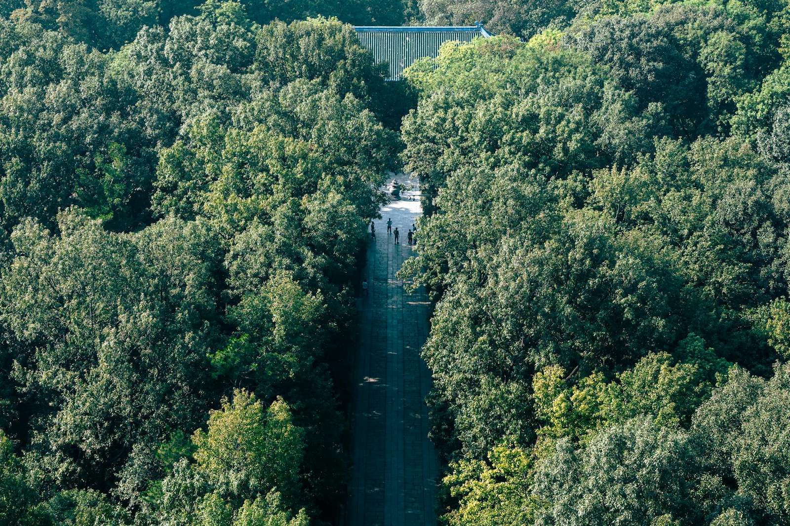 谷歌浏览器标签页快捷操作演示